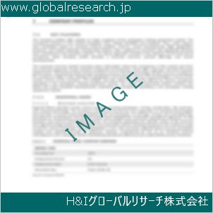 グローバルリサーチ調査資料のイメージ